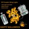 Halloween Lights 3D Jack-o-Lantern 10ft 30 LEDs Pumpkin String Lights Battery Powered Orange Lights for Halloween Party Indoor Fall Outdoor Harvest Thanksgiving Decorations